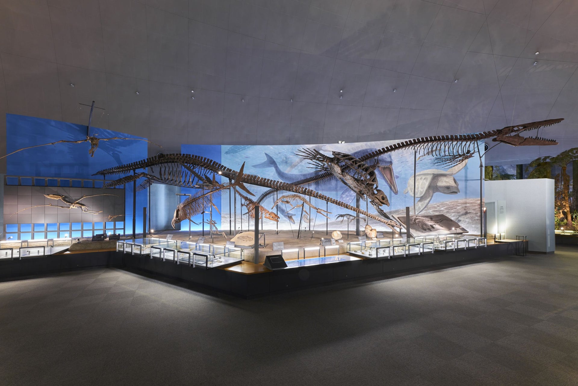 福井県立恐竜博物館